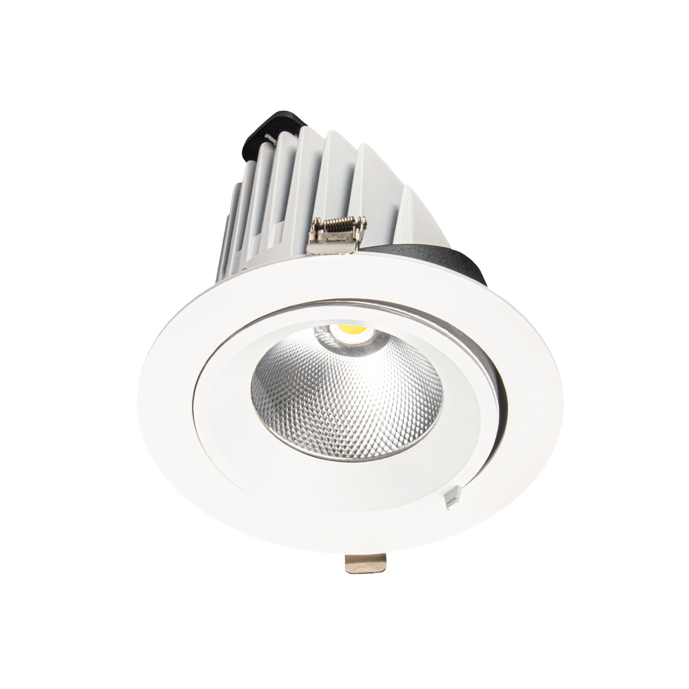 LED-Downlight DS19