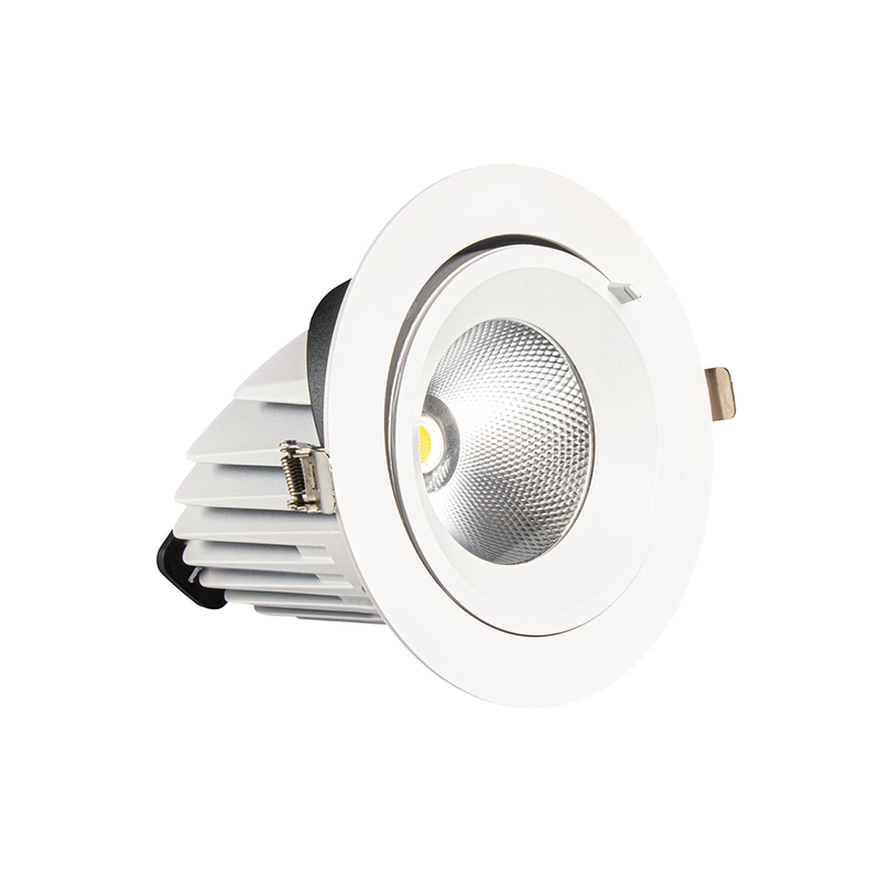 LED-Downlight DS19